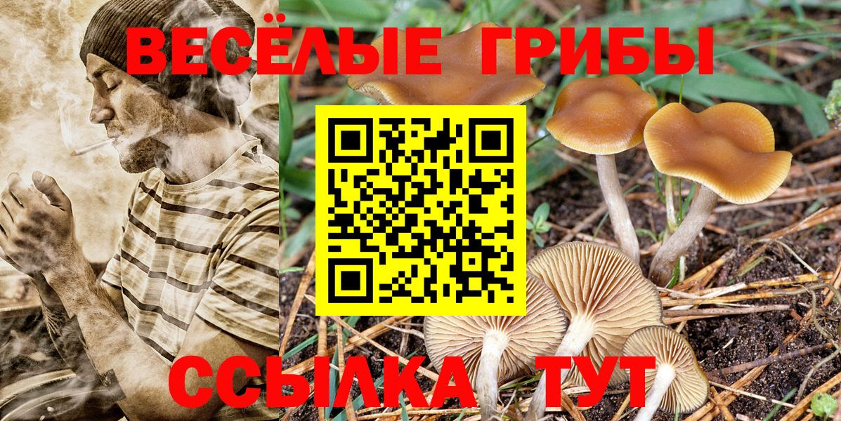 наркотики  Галлюциногенные грибы прущие грибы  Галлюциногенные грибы прущие грибы  Вход с VPN  Тара 